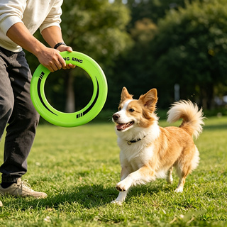 1 szt. Wytrzymały, pusty w śro – Frisbee Freestyle Disc recenzja i cena